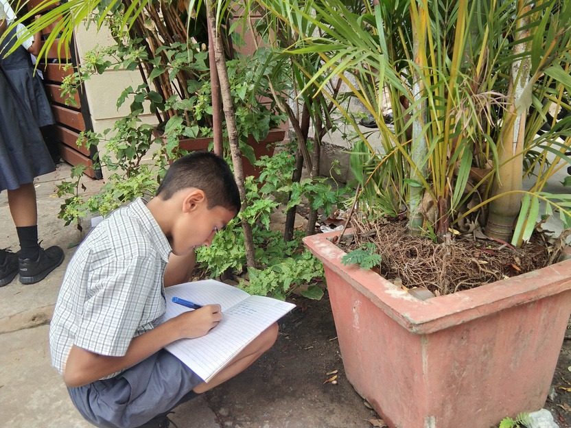 A schoolboy crouched beside a planter, writing observations in his garden journal